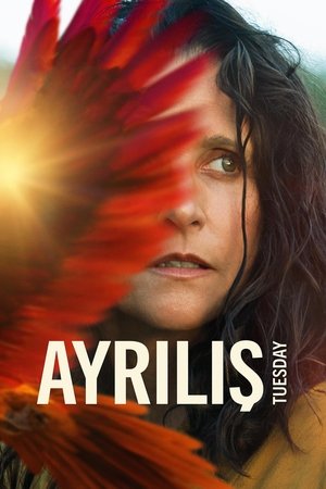 Ayrılış - Tuesday