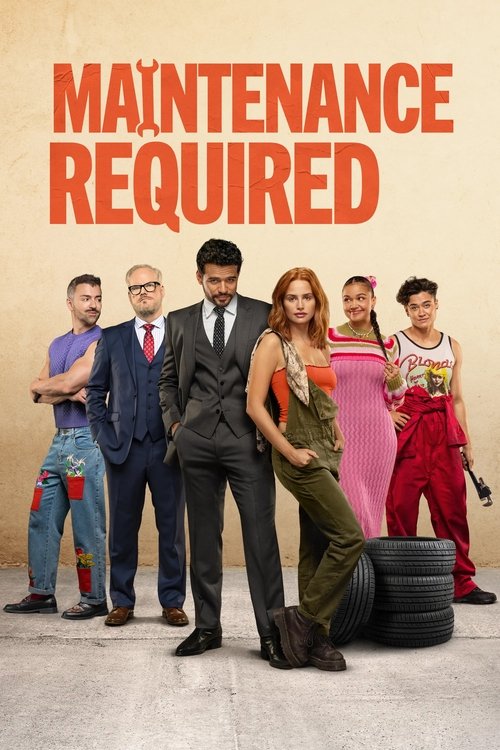 Bakım Gerekli - Maintenance Required 