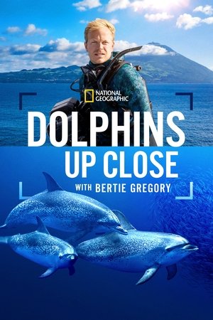 Bertie Gregory Yunuslar ile Yüz Yüze - Dolphins Up Close with Bertie Gregory