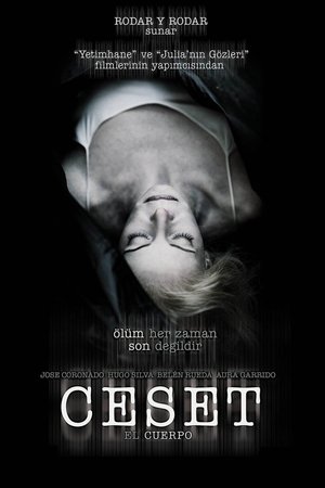 Ceset - The Body (El cuerpo)
