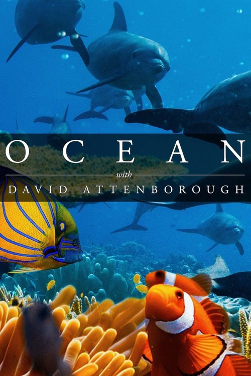 David Attenborough ile Okyanuslar - Ocean with David Attenborough