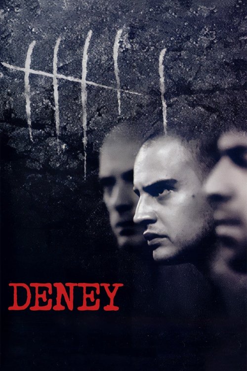 Deney - The Experiment