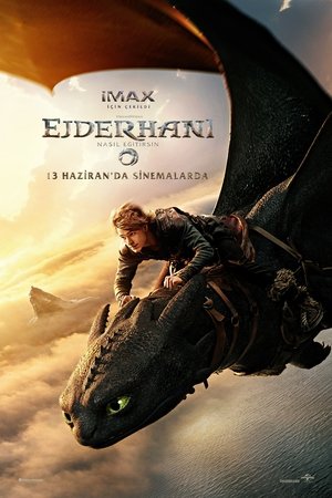 Ejderhani Nasil Egitirsin - How to Train Your Dragon