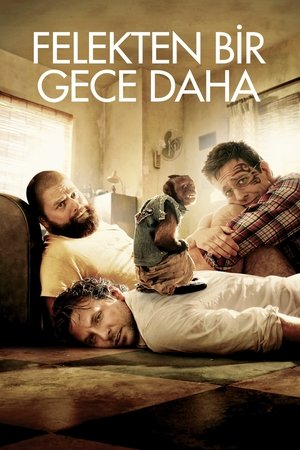 Felekten Bir Gece Daha - The Hangover Part II 