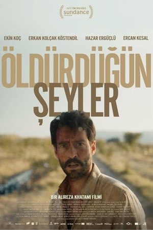 Öldürdüğün Şeyler 