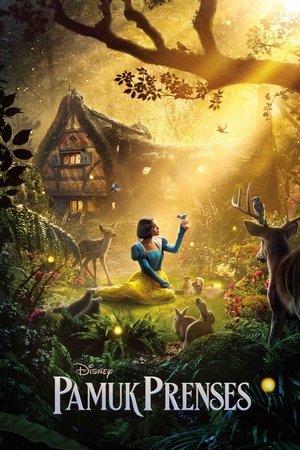 Pamuk Prenses - Snow White