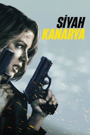 Siyah Kanarya - Canary Black