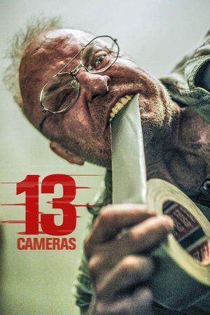 Slumlord - 13 Cameras