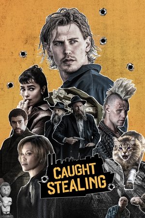 Suçüstü - Caught Stealing