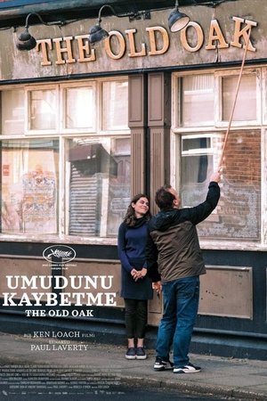 Umudunu Kaybetme - The Old Oak 
